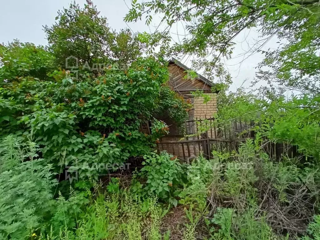 Участок в Волгоградская область, Волгоград Дзержинец СНТ, ... - Фото 1