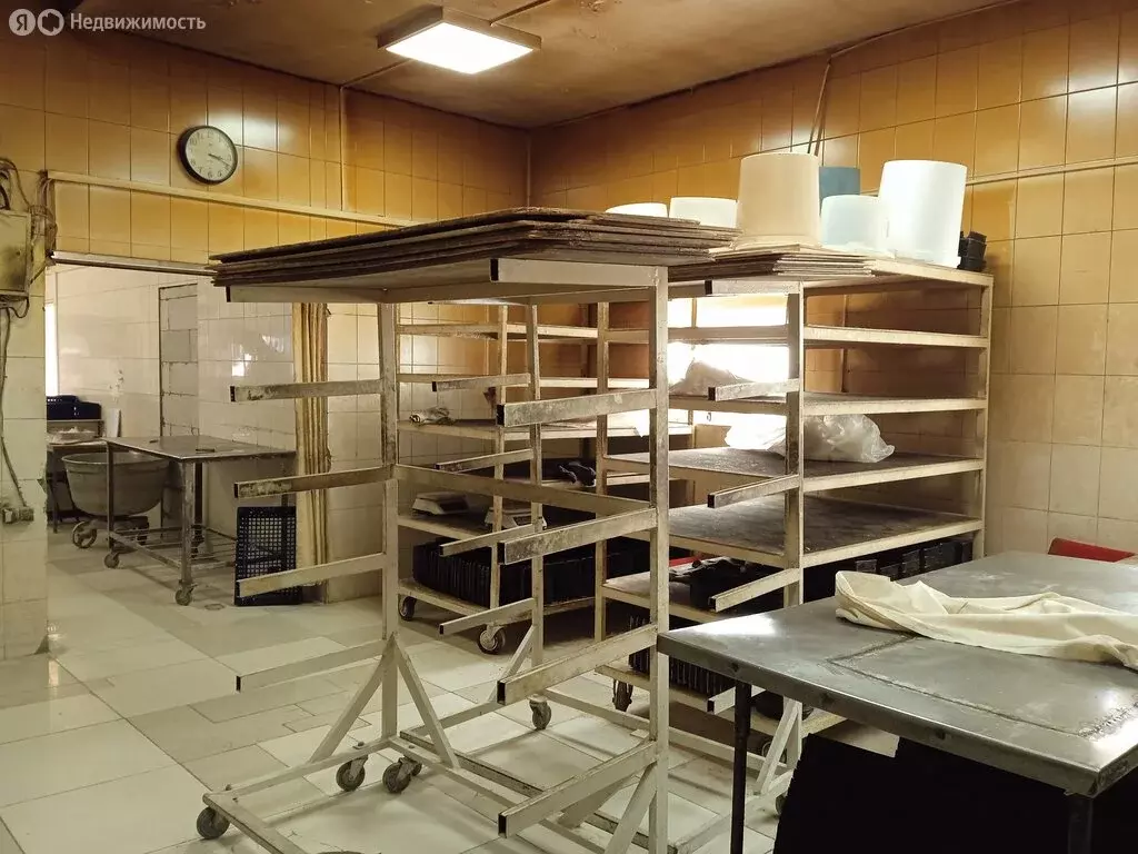 Помещение свободного назначения (73.1 м) - Фото 1