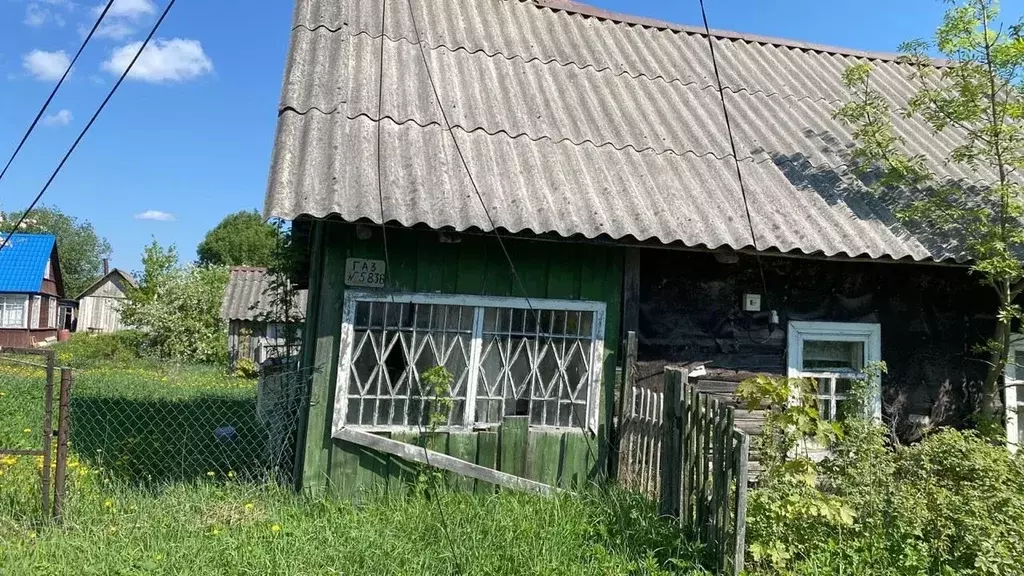 Участок в Ленинградская область, Ломоносовский район, Лопухинское ... - Фото 1