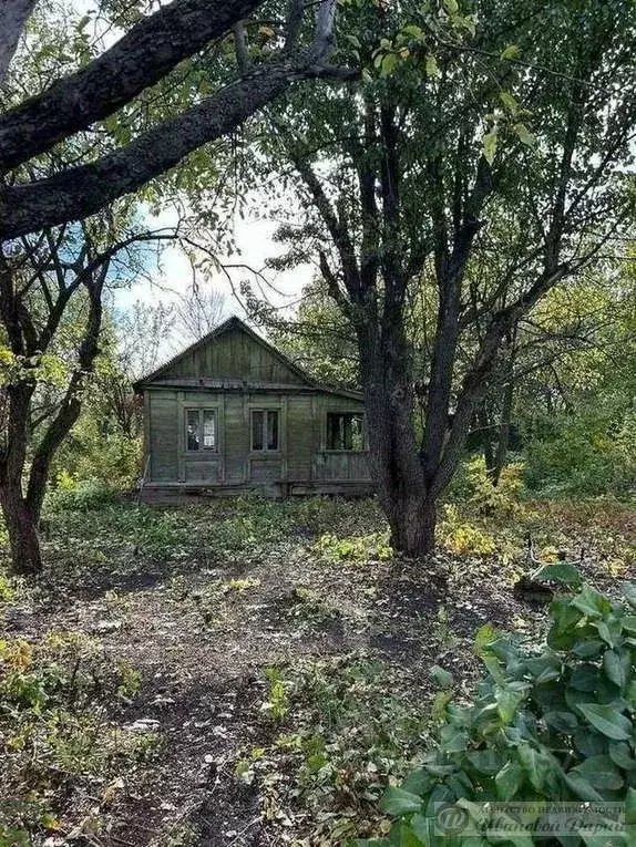 Участок в Самарская область, Самара Ракитовка СНТ, ул. 12-я, 63 (6.0 ... - Фото 0