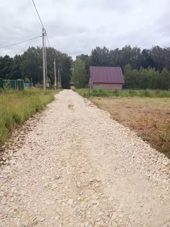 Участок в Московская область, Коломна городской округ, с. Акатьево  ... - Фото 2