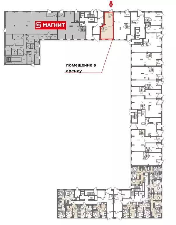 Помещение свободного назначения в Московская область, Пушкино ул. ... - Фото 1