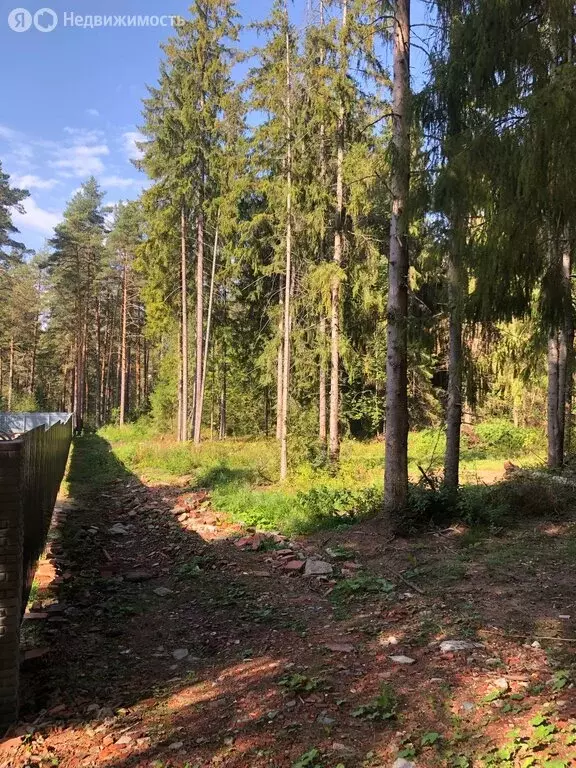 Участок в Луга, Большая Заречная улица, 1/5А (16.5 м) - Фото 1