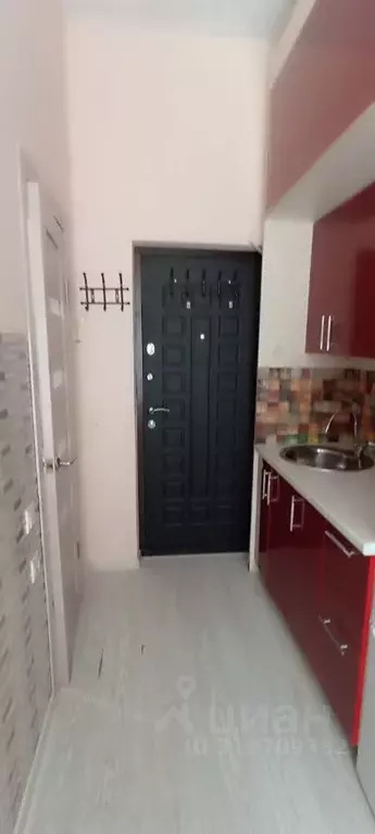 Студия Краснодарский край, Сочи городской округ, Дагомыс пгт ул. ... - Фото 1