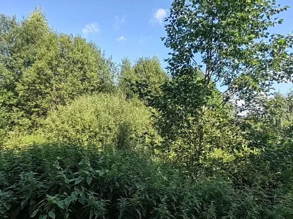 Участок в Московская область, Клин городской округ, Решетниково пгт ... - Фото 1