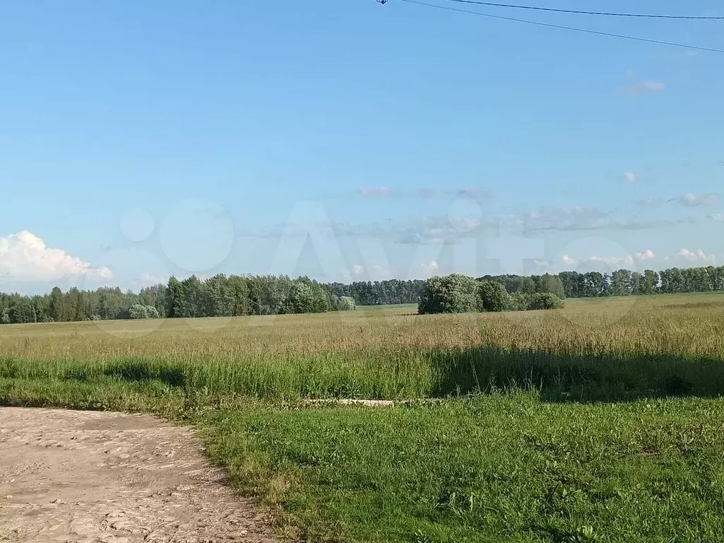Дом 54,5 м на участке 16 сот. - Фото 1
