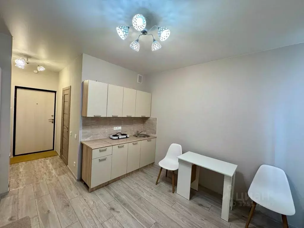 Студия Ленинградская область, Гатчинский муниципальный округ, д. Малое ... - Фото 2