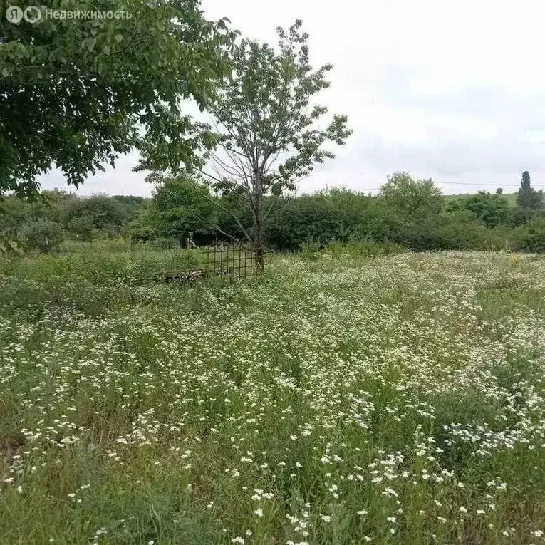Участок в село Стрелецкое, Центральная улица (19.5 м) - Фото 1
