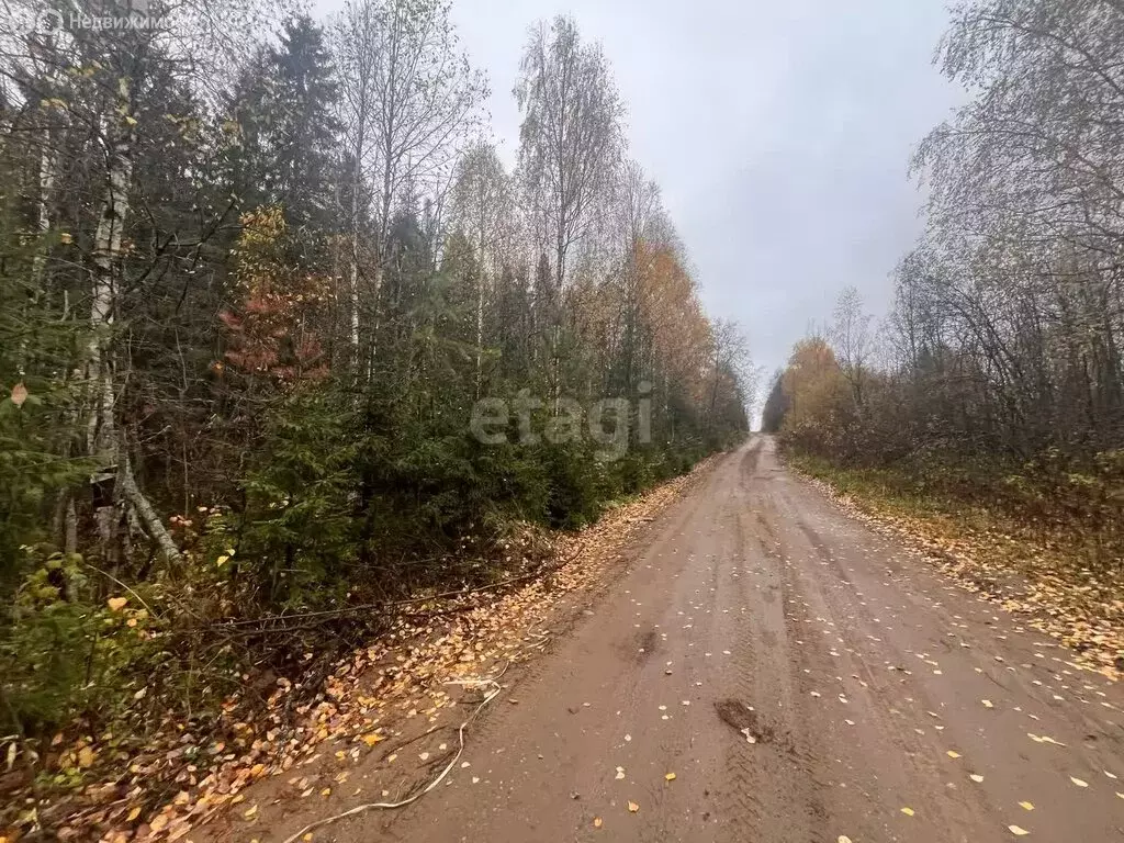 Участок в деревня Морово, СДТ Алёнушка, Последачная улица (5 м) - Фото 1