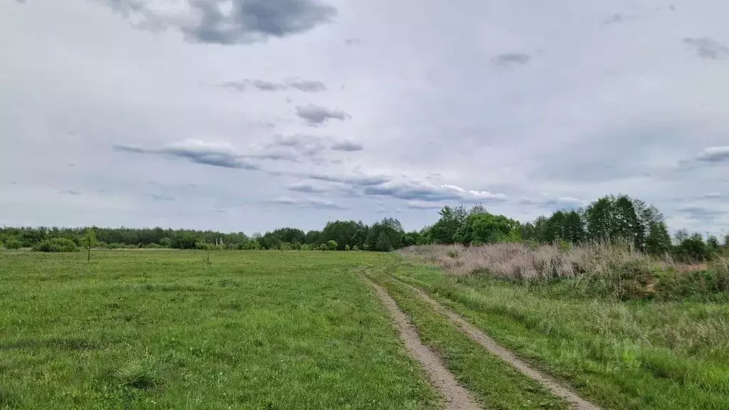 Участок в Воронежская область, с. Новая Усмань ул. Октябрьская, 19/2 ... - Фото 1