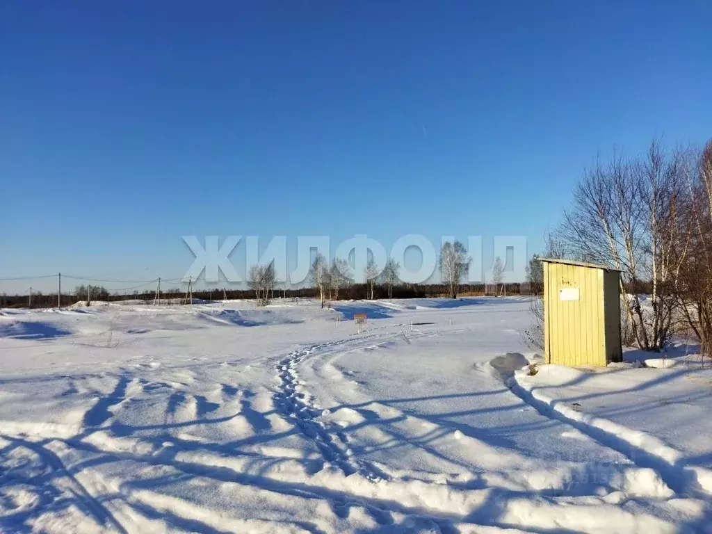 Участок в Новосибирская область, Новосибирский район, Криводановский ... - Фото 0