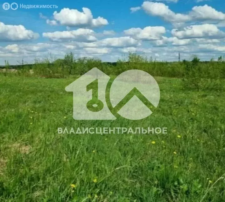 Участок в Криводановский сельсовет (10101 м) - Фото 0