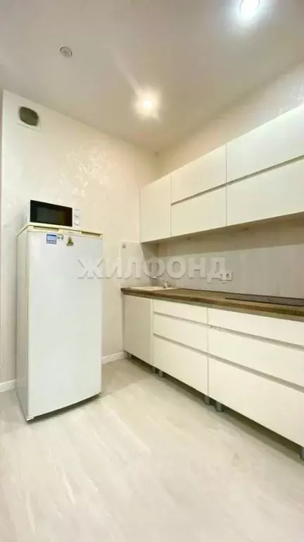 1-к кв. Новосибирская область, Новосибирск Покатная ул., 55А (32.3 м) - Фото 1