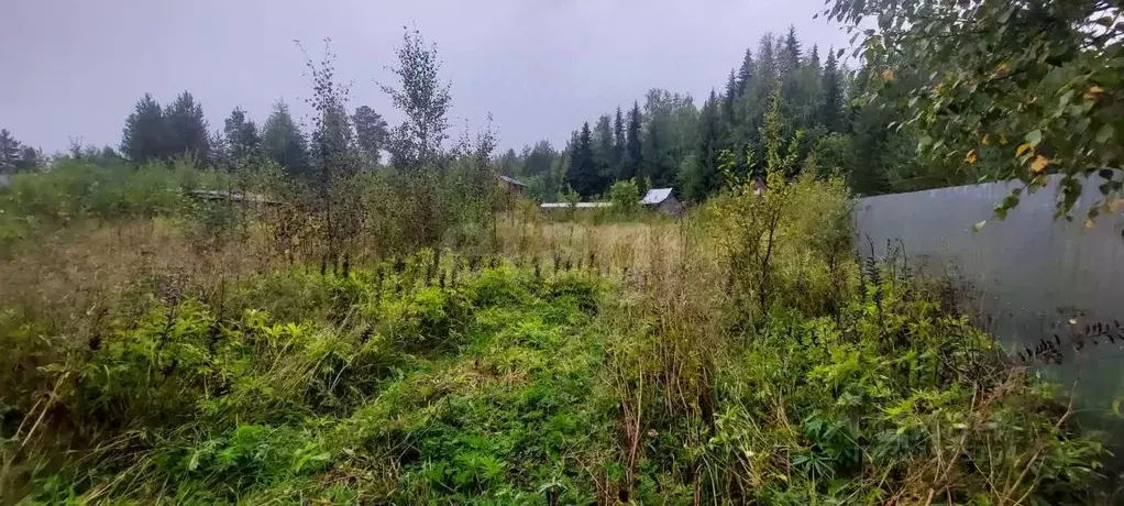 Участок в Коми, Корткеросский район, Додзь муниципальное образование, ... - Фото 2