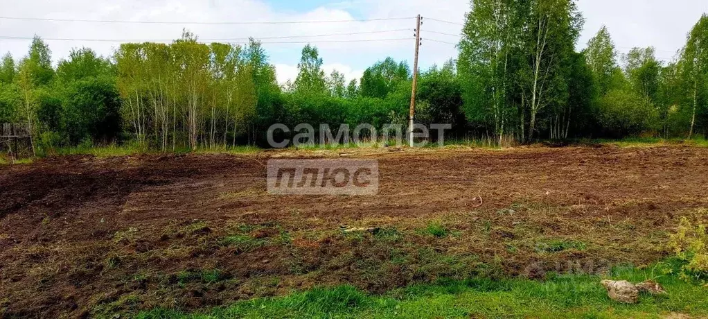 Участок в Тюменская область, Нижнетавдинский район, Строитель ТСН 786 ... - Фото 0