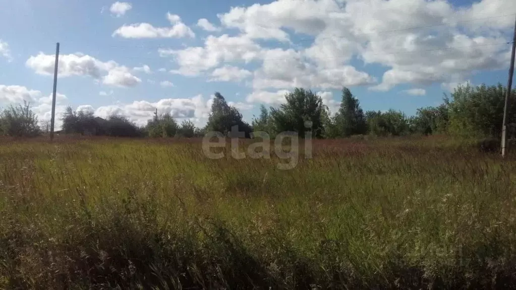 Участок в Брянская область, Трубчевск пер. 2-й Овражный (10.5 сот.) - Фото 0