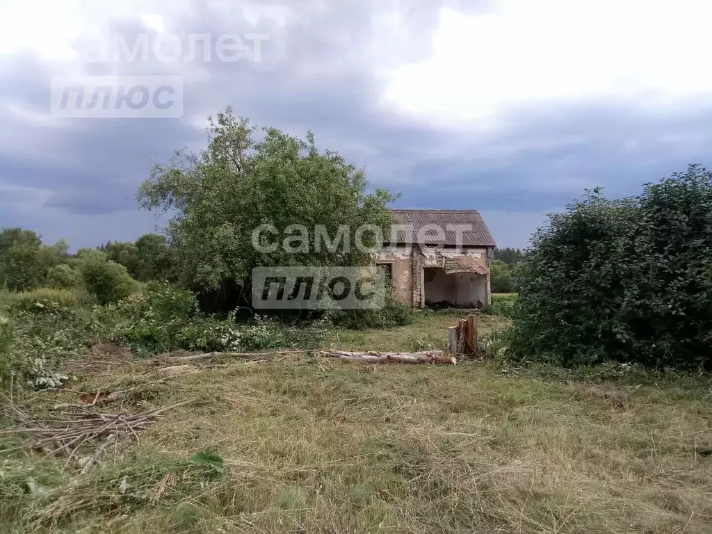 Участок в Липецкая область, Усманский район, с. Студенки Советская ул. ... - Фото 1