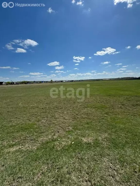 Участок в Тюменская область, Исетский муниципальный округ, село ... - Фото 2