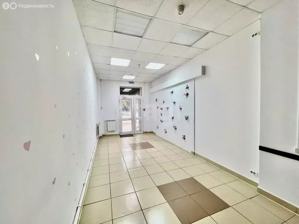 Помещение свободного назначения (81.2 м) - Фото 1