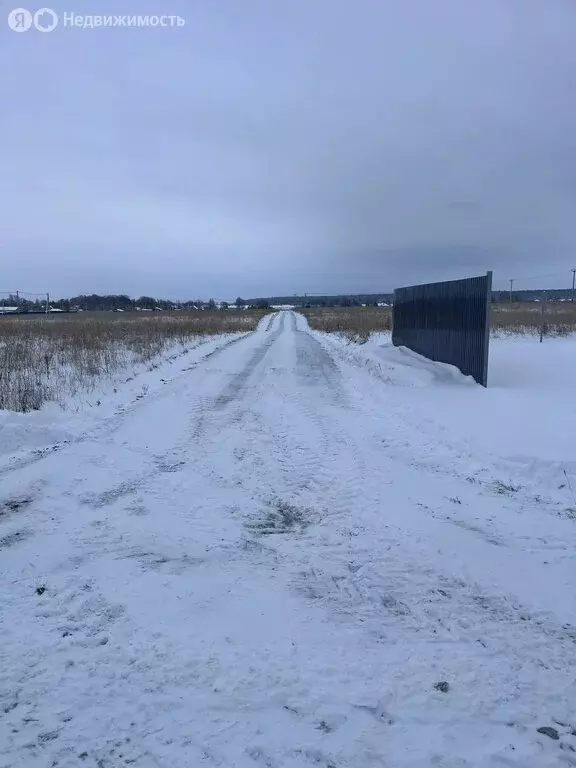 Участок в Московская область, Раменский муниципальный округ, дачный ... - Фото 1