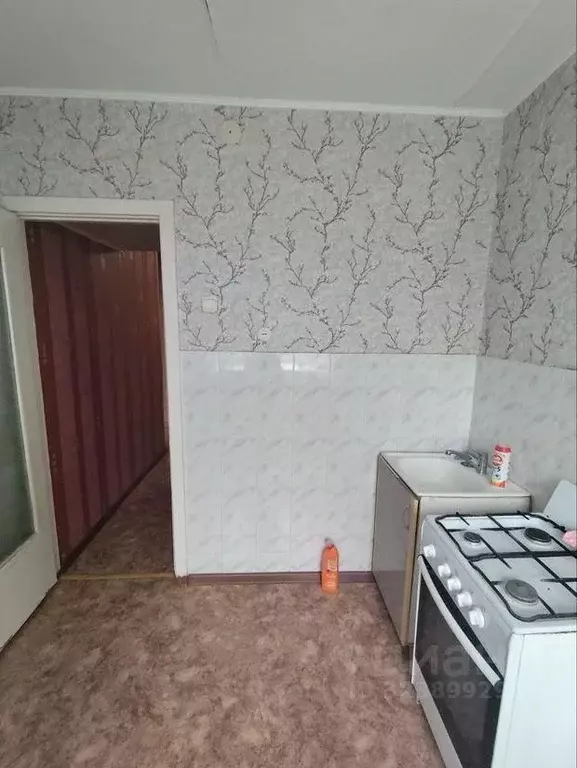 2-к кв. Курганская область, Курган ул. Карла Маркса, 147 (42.6 м) - Фото 1