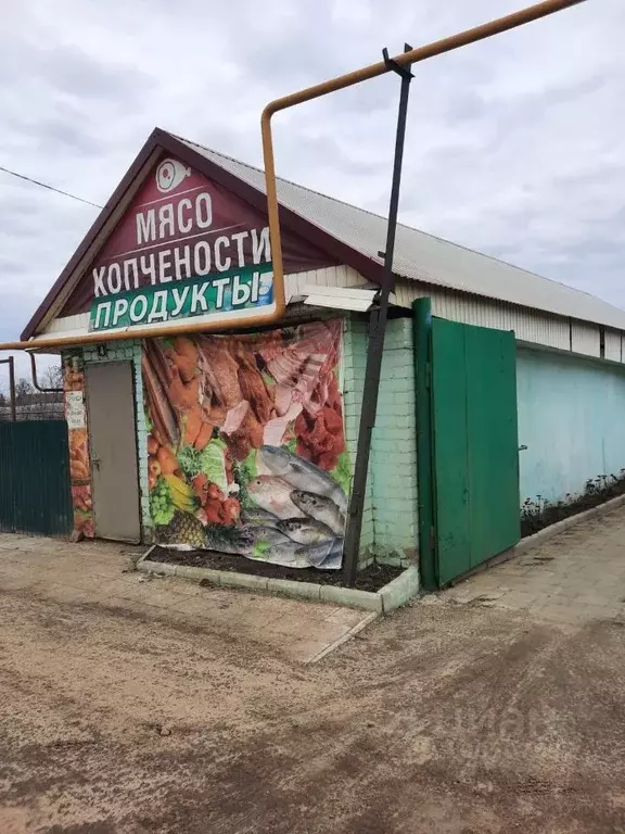 Дом в Липецкая область, Краснинский сельсовет, с. Красное ул. Зеленая, ... - Фото 1