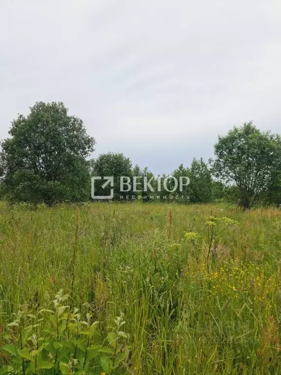 Участок в Костромская область, Кострома  (9.47 сот.) - Фото 2