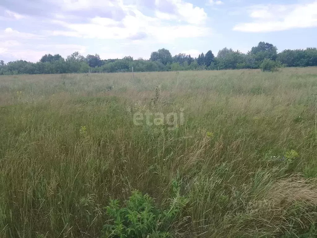 Участок в Башкортостан, Стерлитамакский район, Казадаевский сельсовет, ... - Фото 1