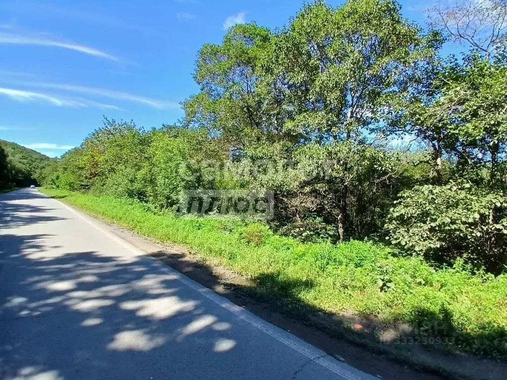 Участок в Приморский край, Дунай пгт ул. Почтовая, 4 (18.84 сот.) - Фото 1