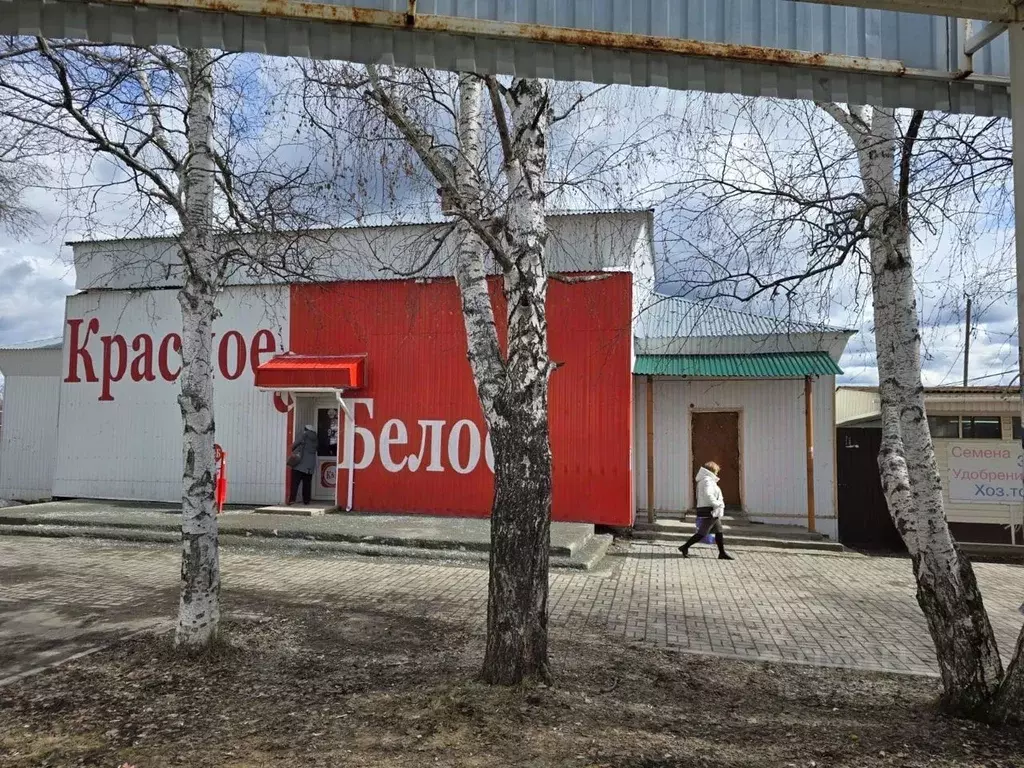 Торговая площадь в Свердловская область, Нижнесергинский район, ... - Фото 1