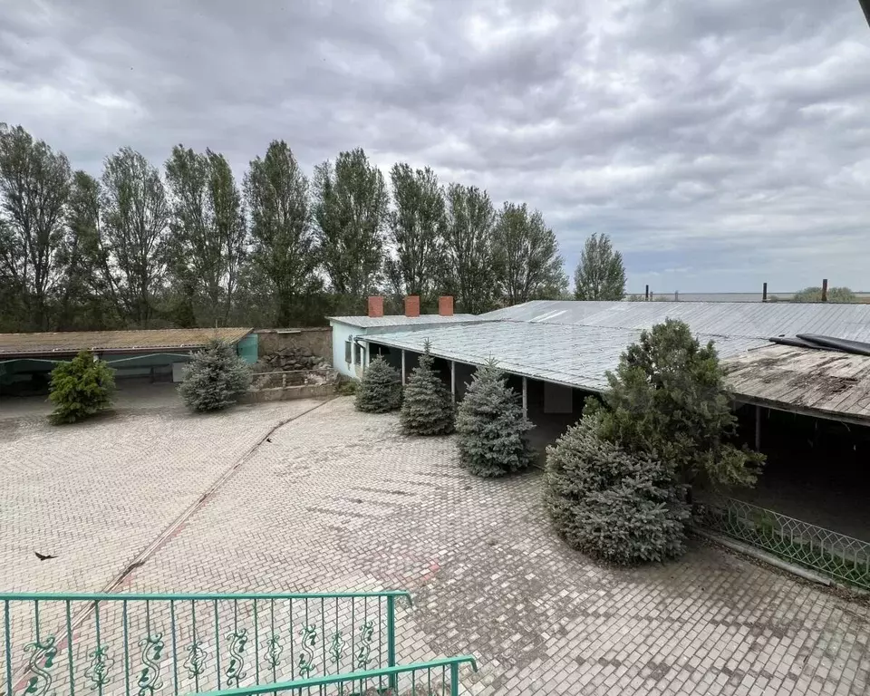Дом 700 м на участке 25 сот. - Фото 0