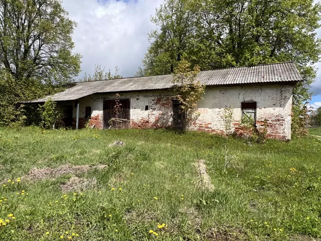Производственное помещение в Калужская область, Медынь  (882 м) - Фото 2