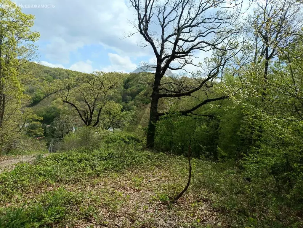 Участок в Краснодарский край, Туапсинский муниципальный округ, село ... - Фото 0