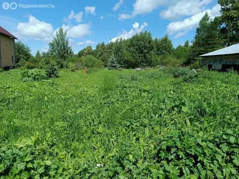 Дом в Кстинино, улица Труда, 13 (24 м) - Фото 1