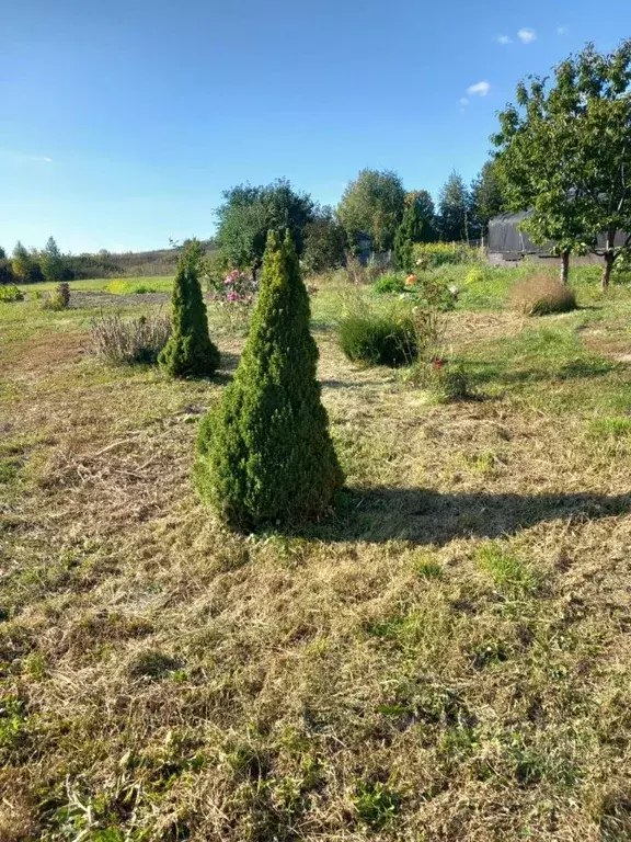 Дом в Рязанская область, Спасский муниципальный округ, д. Острая Лука ... - Фото 1