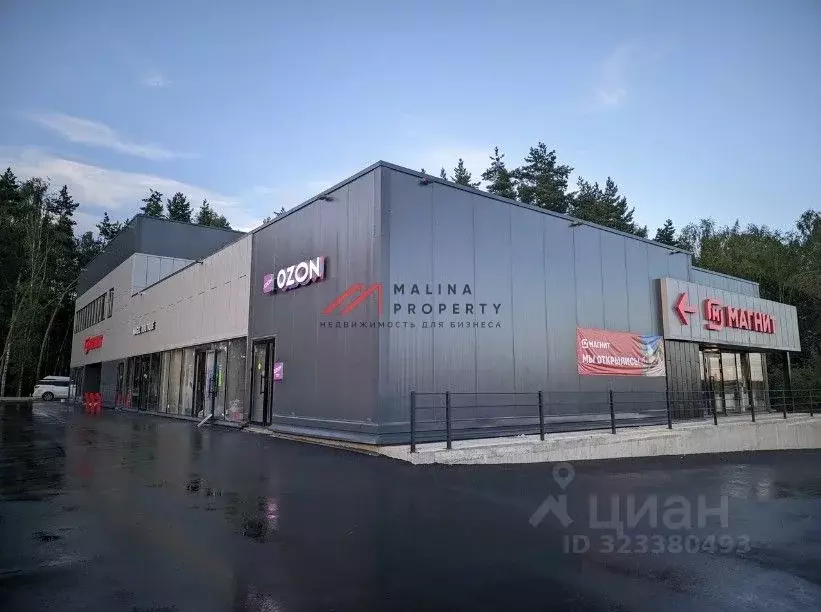 Торговая площадь в Московская область, Истра муниципальный округ, д. ... - Фото 2