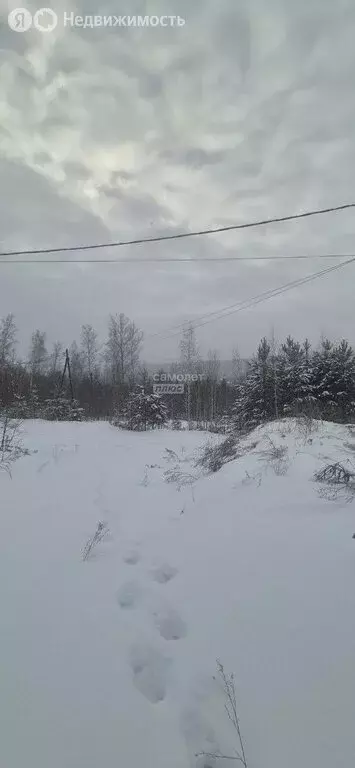 Участок в Иркутский муниципальный округ, деревня Новолисиха, посёлок ... - Фото 1