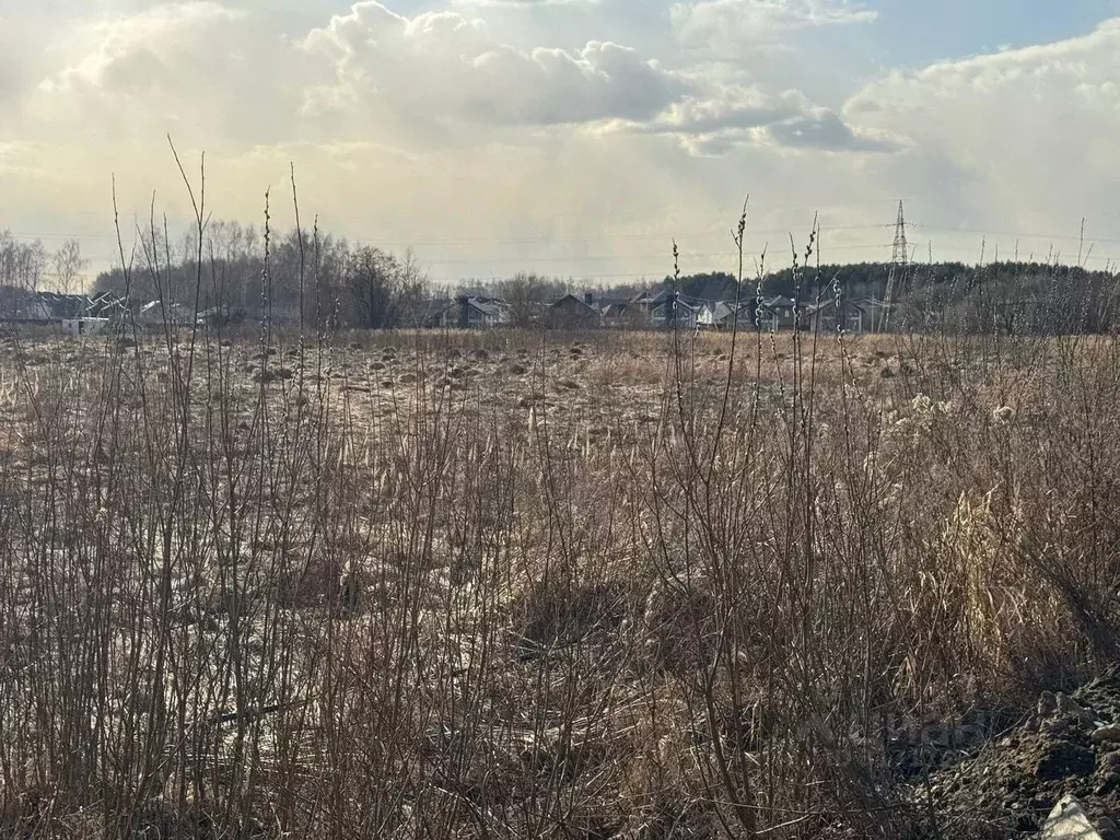 Участок в Московская область, Ногинск Богородский городской округ, ... - Фото 0