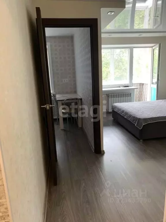 1-к кв. Амурская область, Благовещенск ул. Ленина, 182 (29.8 м) - Фото 1