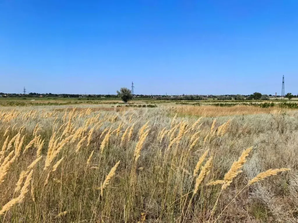Участок в Волгоградская область, Волгоград ул. Вологодская (8.0 сот.) - Фото 1