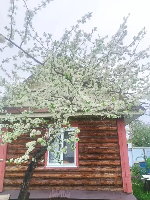 Дом в Татарстан, Набережные Челны Кама-2 СНТ, 33 (15 м) - Фото 0