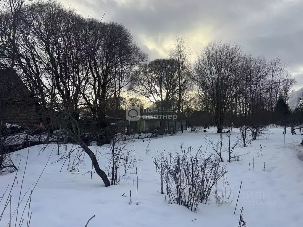 Участок в Санкт-Петербург, Санкт-Петербург, Красное Село ул. Голубко, ... - Фото 1