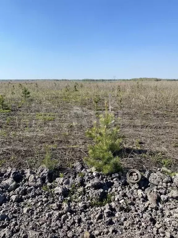 Участок 10 сот. (ИЖС) - Фото 0
