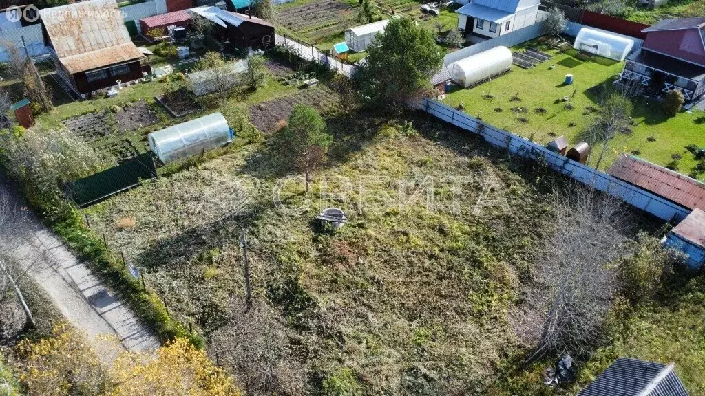 Участок в Тюменский муниципальный округ, СНТ Лесник-2 (8 м) - Фото 2