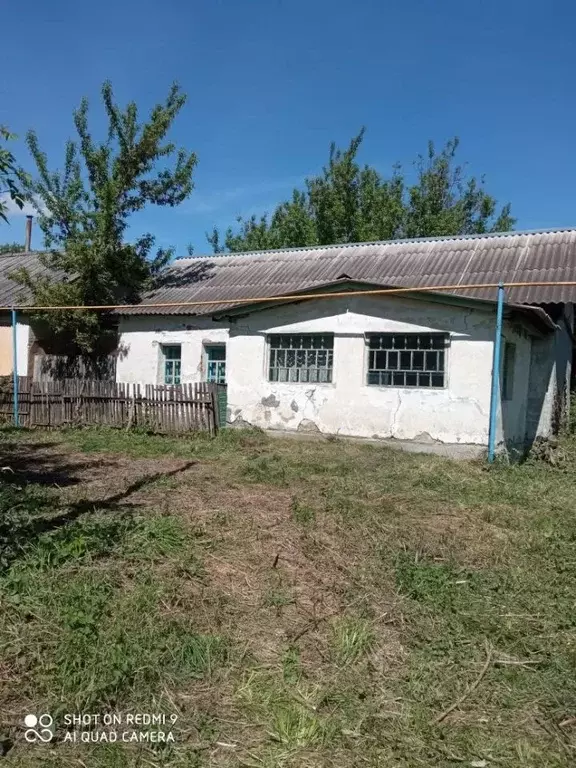 Дом в Рязанская область, Скопинский муниципальный округ, д. Свинушки ... - Фото 1