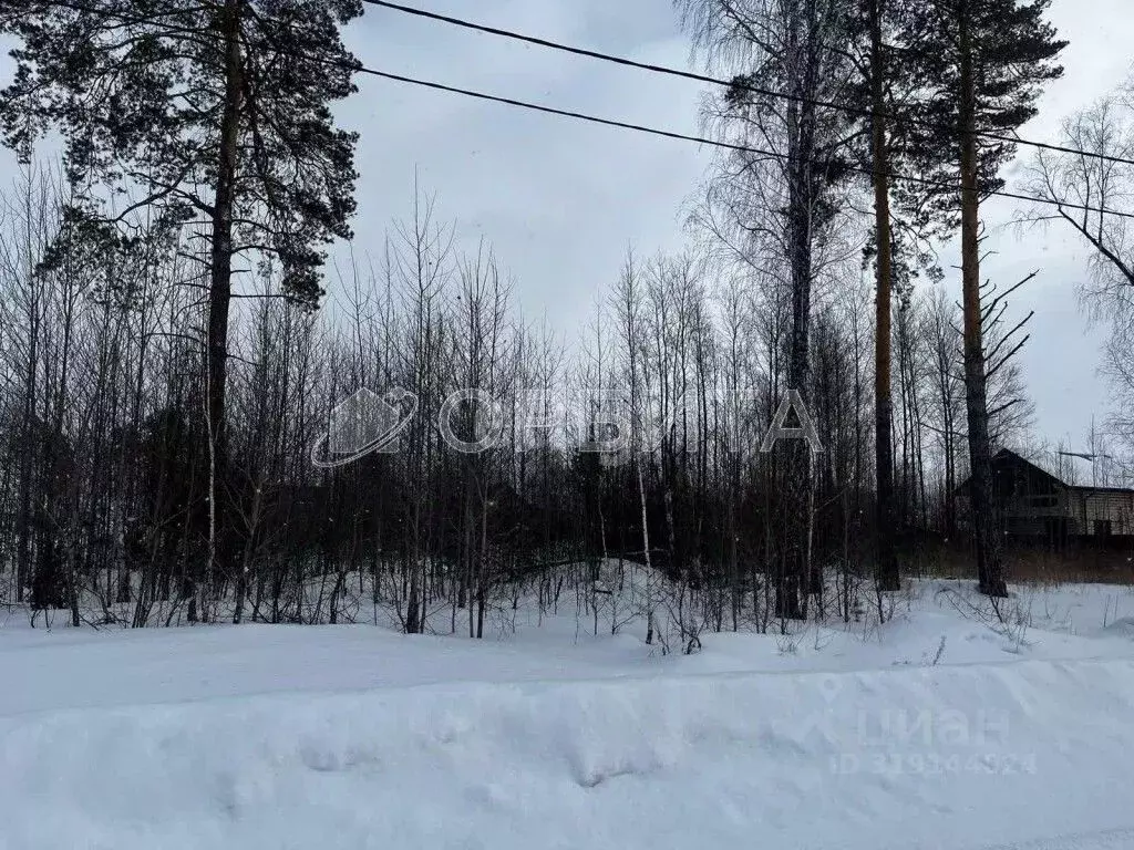 Участок в Тюменская область, Тюменский район, пос. Новотарманский ... - Фото 1