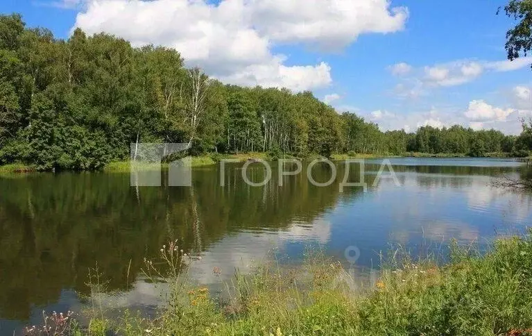Участок в Новосибирская область, Новосибирский район, Морской ... - Фото 1
