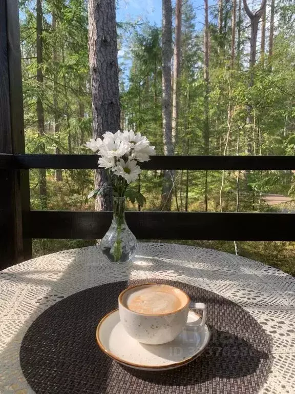 Дом в Ленинградская область, Всеволожский район, Токсовское городское ... - Фото 1