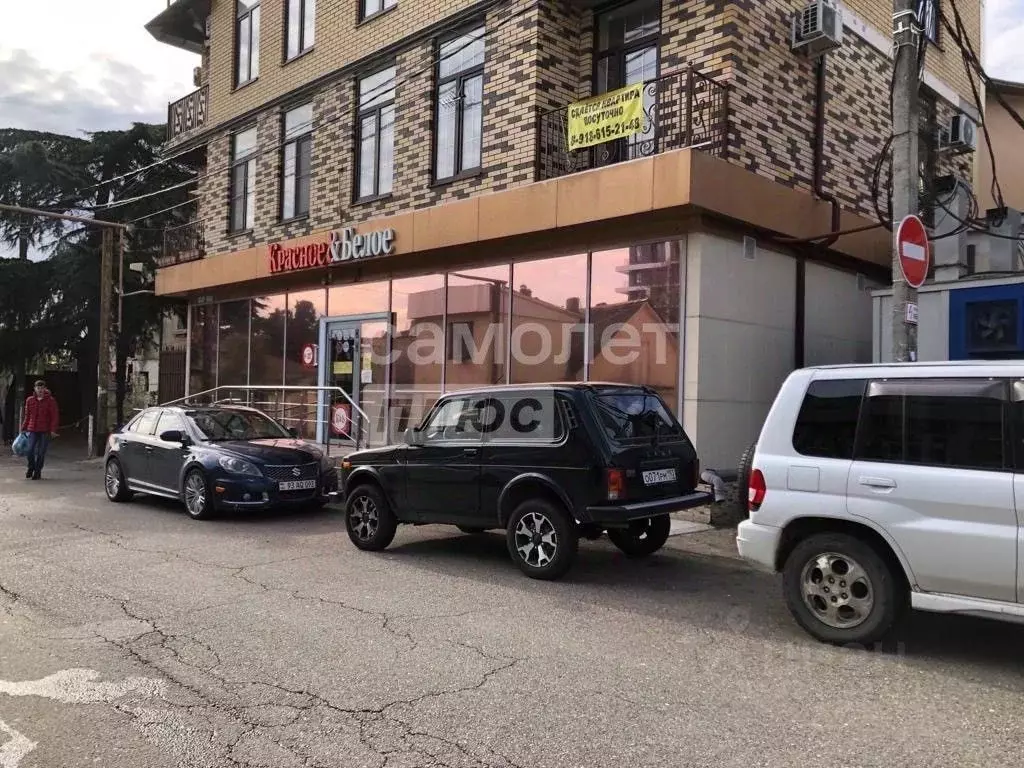 Торговая площадь в Краснодарский край, Сочи городской округ, Дагомыс ... - Фото 2