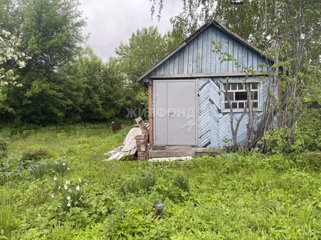 Дом в Новосибирская область, Новосибирск Березовая Роща СНТ,  (12 м) - Фото 1